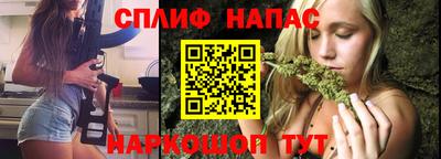 СК Будённовск